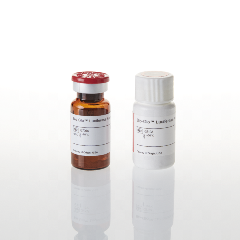 BioGlo Luciferase Assay System Nerliens Meszansky AS